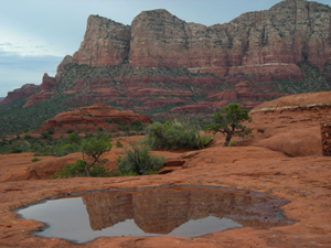 Lee Mountain reflected in a pool on Bell Rock