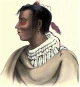 Metea, Patomwatomi Chief