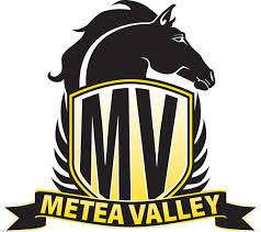 Metea Valley High School